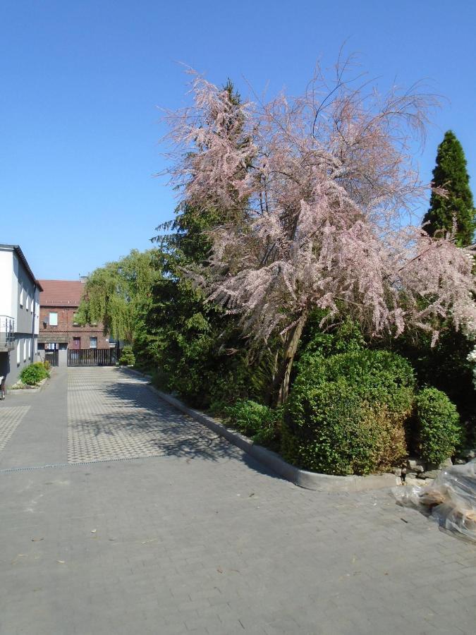 Villa Art Korab Gliwice Eksteriør bilde
